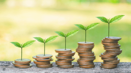 pilhas de moedas com mudas de plantas crescendo