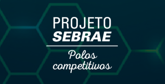 Banner do Projeto Sebrae Polos Competitivos