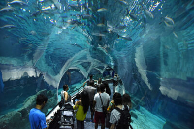foto do interior do AquaRio