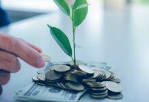 Meio Ambiente: práticas ESG ganham destaque nas micro e pequenas empresas uma pequena árvore nascendo de um punhado de moedas